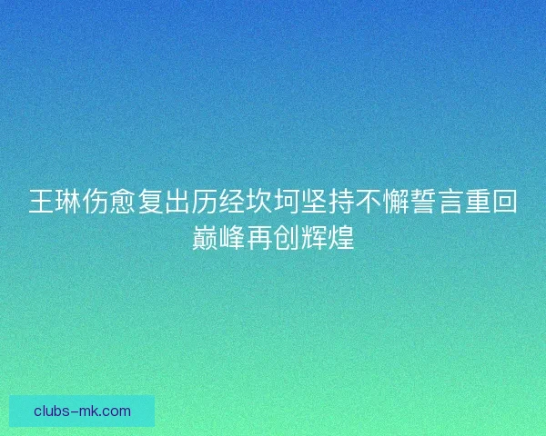 王琳伤愈复出历经坎坷坚持不懈誓言重回巅峰再创辉煌 王琳伤愈复出历经坎坷坚持不懈誓言重回巅峰再创辉煌